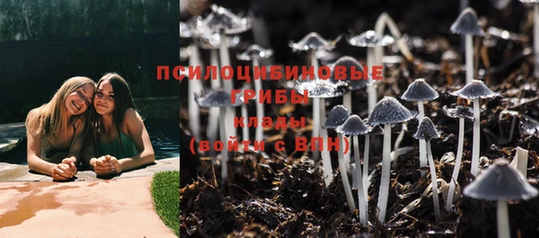 дживик Балабаново