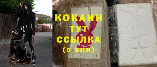 гашик Балахна