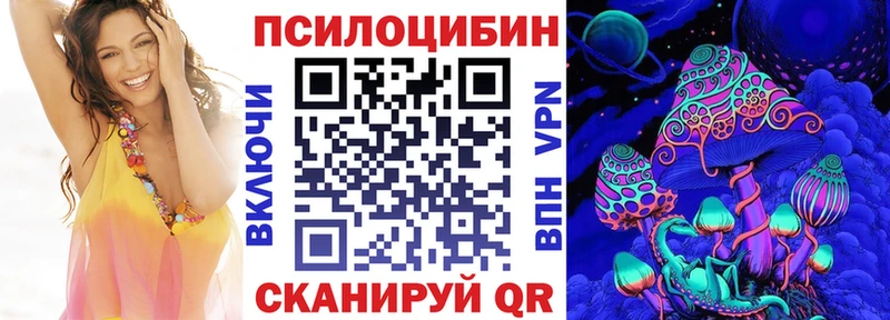 Псилоцибиновые грибы Cubensis  Купить  Гатчина 